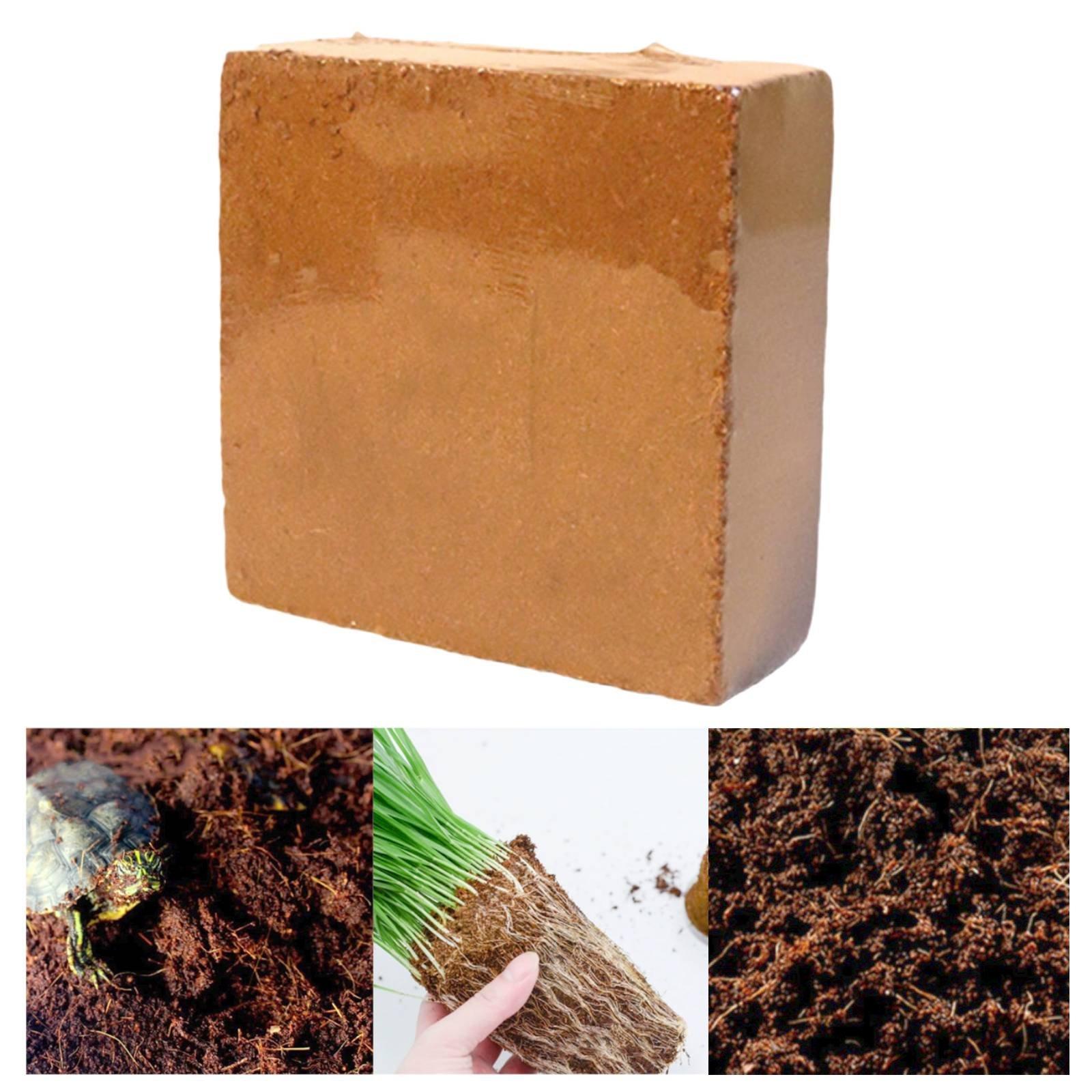 Coco Coir Block - طوب ألياف جوز الهند المضغوط، قوالب