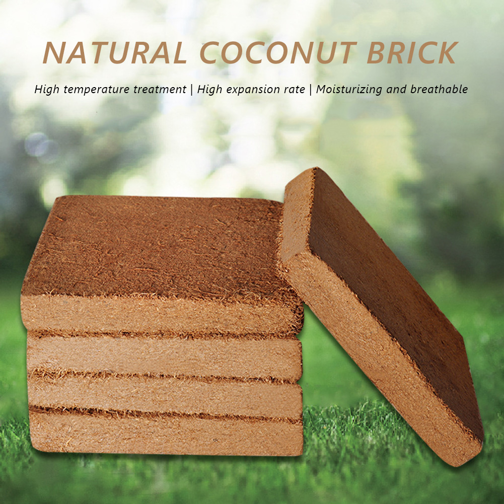 Coco Coir Block - نبات عالمي من الألياف العضوية، زراعة