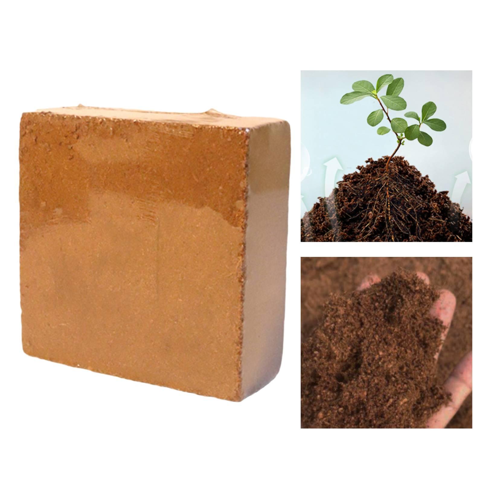 قالب تربة جوز الهند المضغوط لا - مراجعة Coco Coir Block وسعره